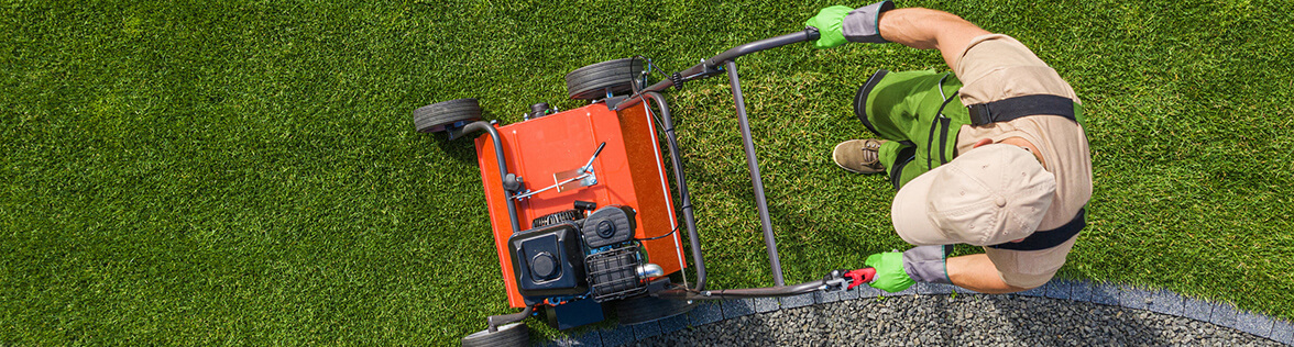 Hauswartung & Gartenunterhalt | Swissprofi Reinigungen